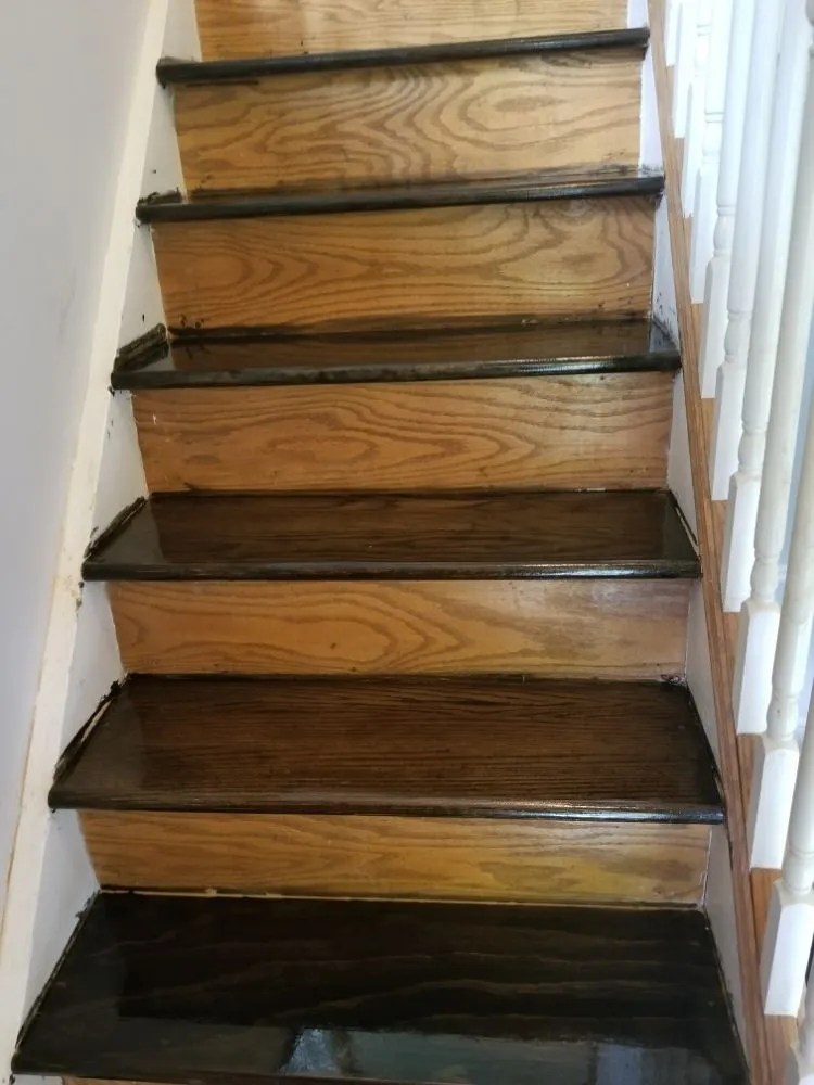 Slide of Concierge Renovations