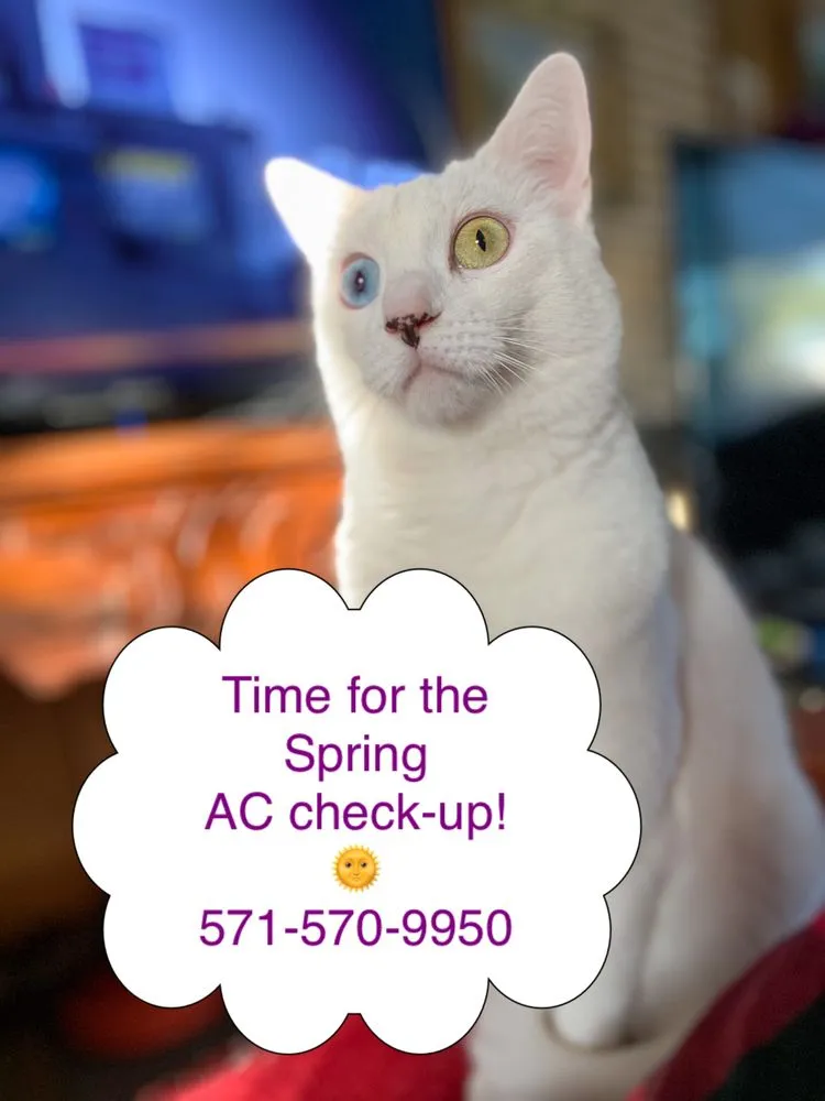 Slide of Conde Tech Services