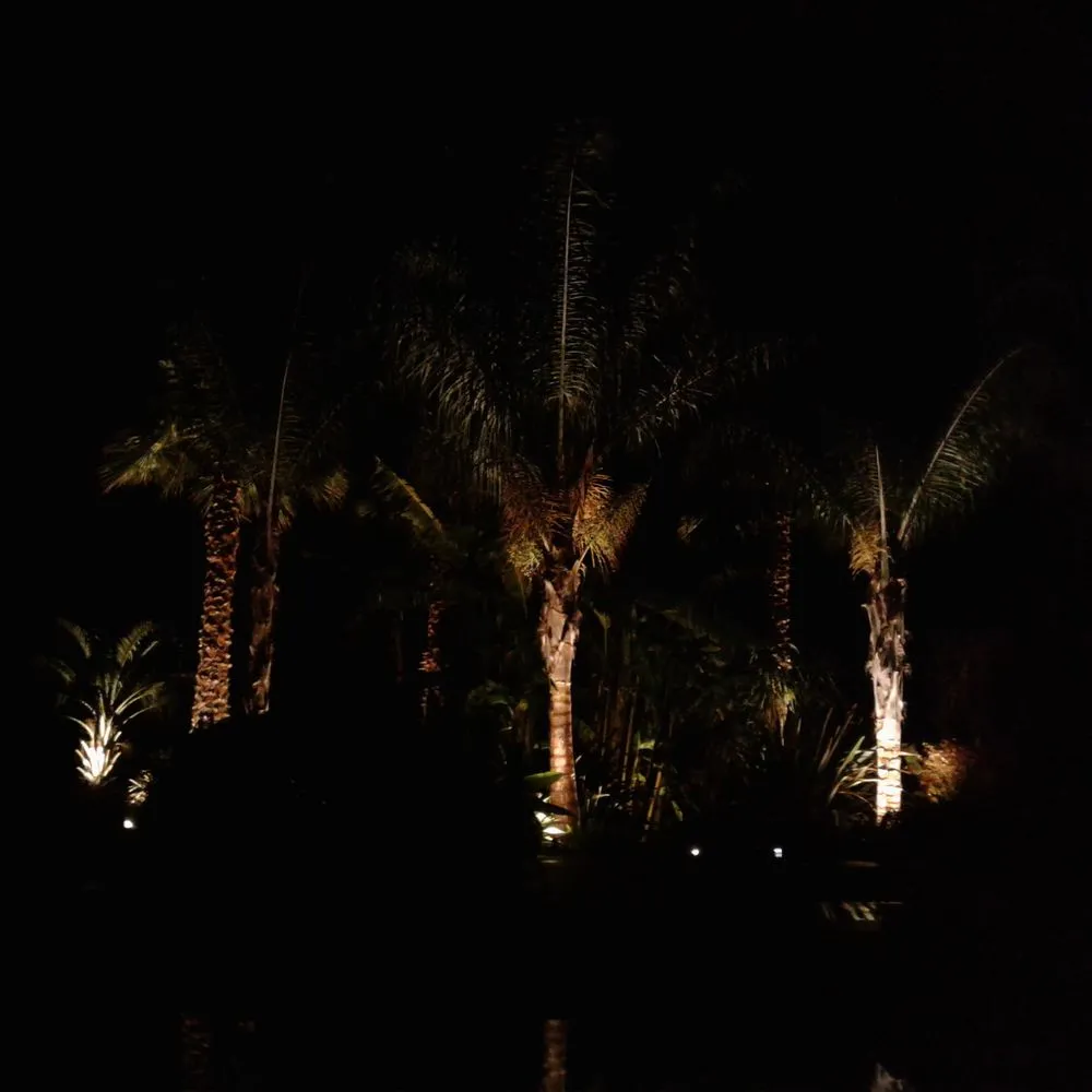 Slide of Connected Electric