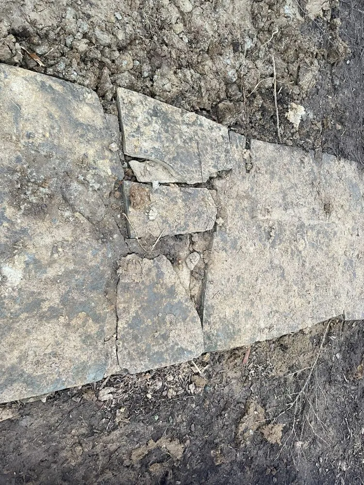 Slide of Constellation Home