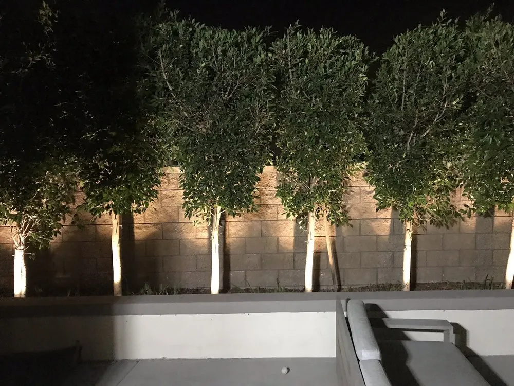 Affordable electrician providing outlet and switch repair in , 