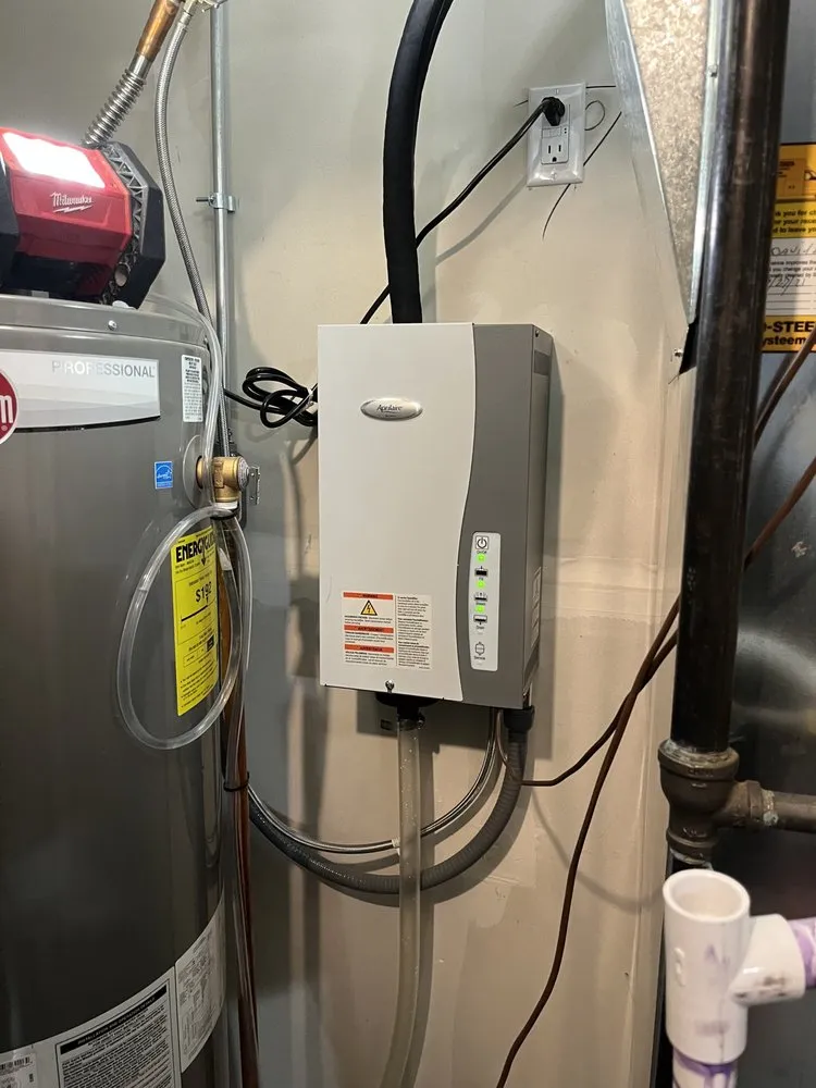 Slide of Copper Rose Electric