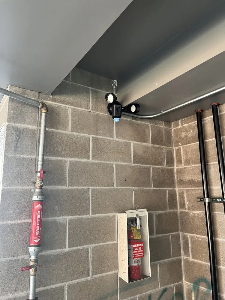 Slide of Copper Rose Electric