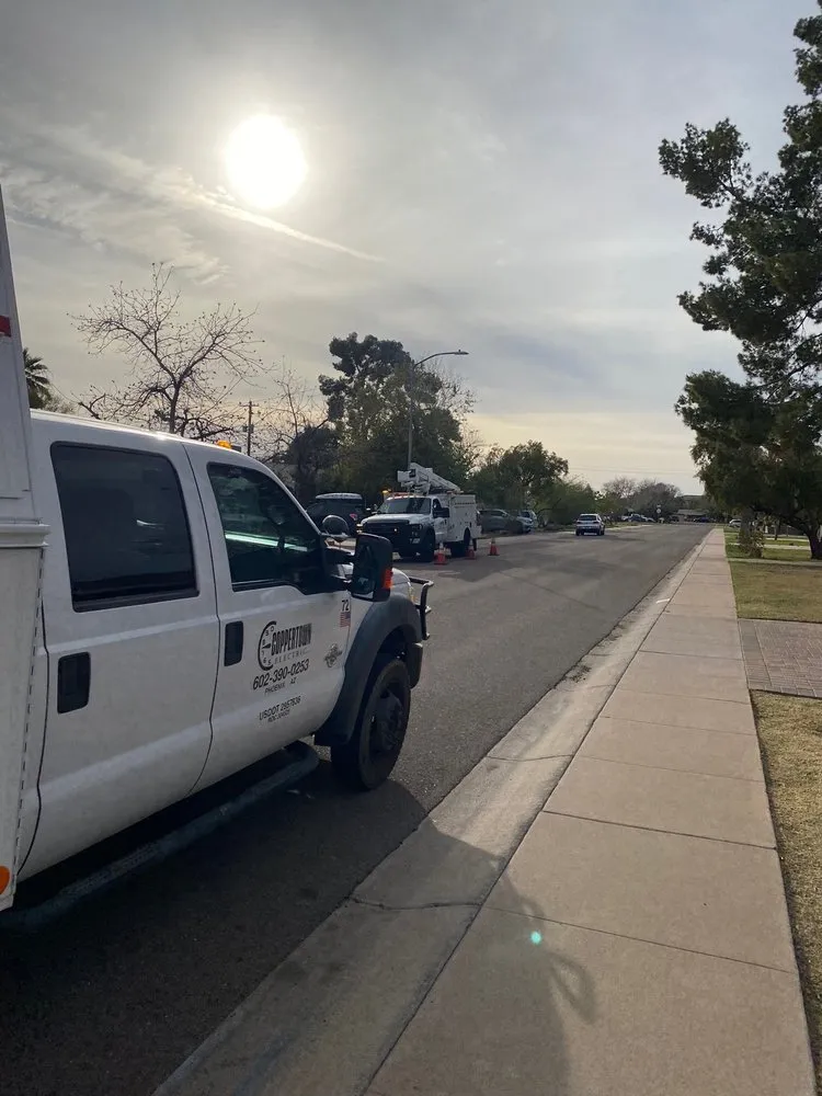 Professional electrical service for homes in panel upgrade,  by 