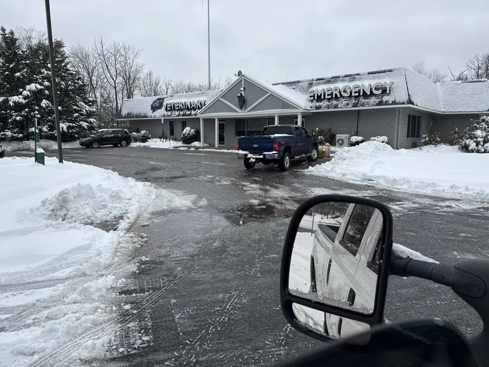 Slide of Copsey's Electric