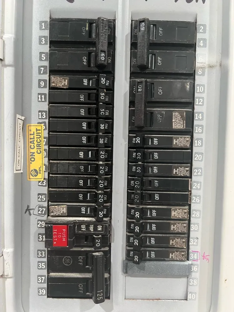 Slide of Coral Electric