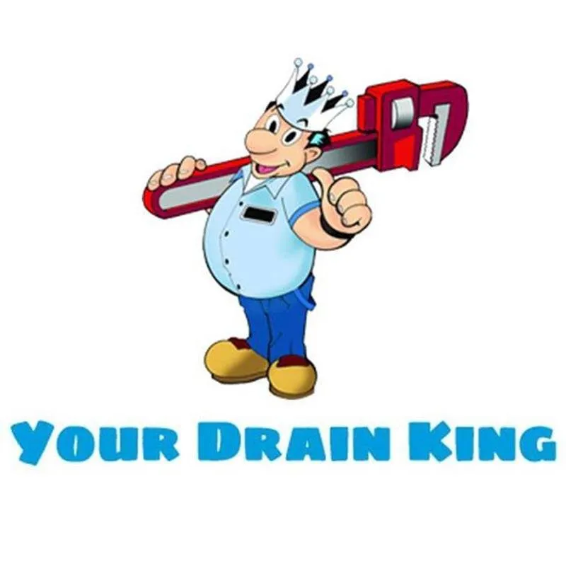 Expert panel upgrade experts serving ,  - Corbin's Your Drain King