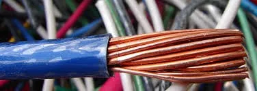 Slide of Corona Elactric