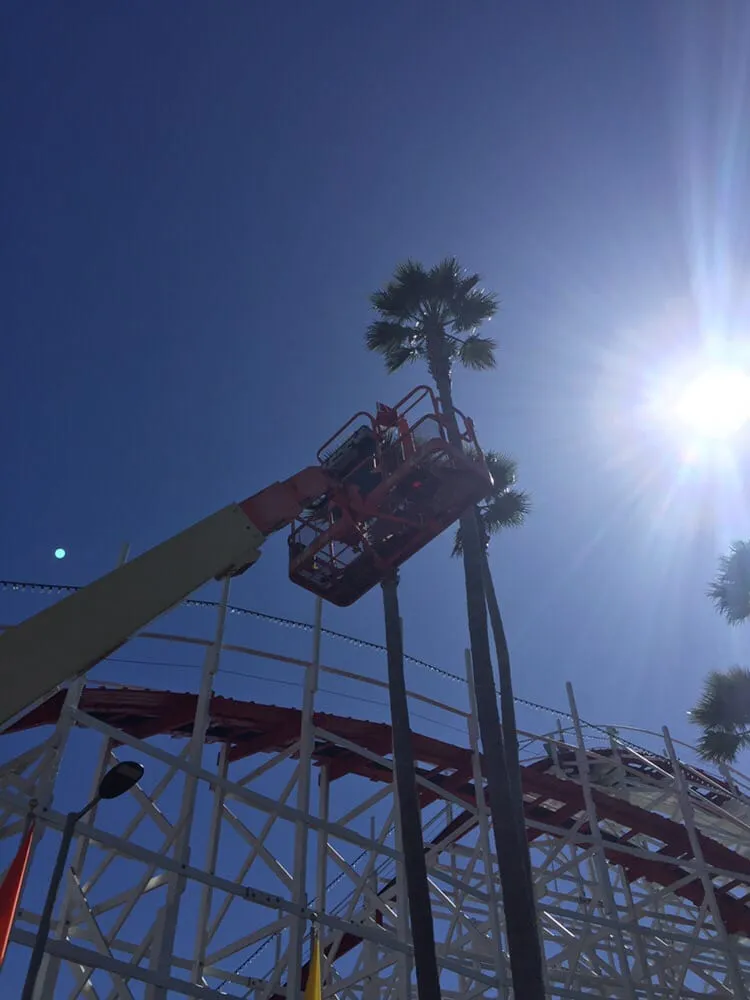 Slide of Coronel Electric