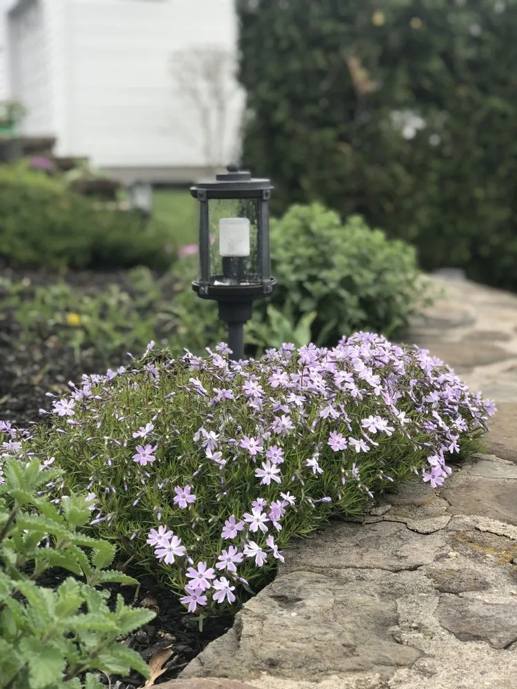 Slide of Corrao Electric