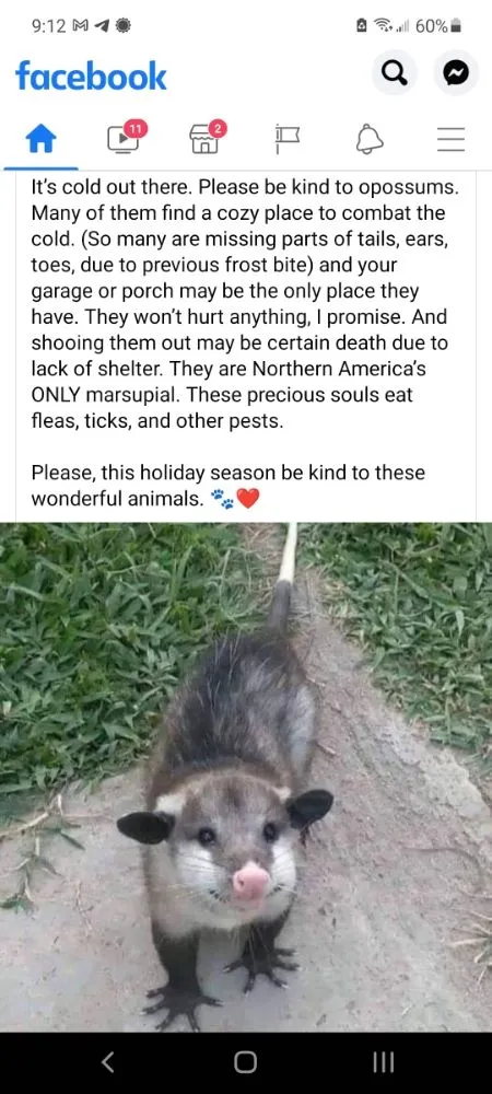 Slide of Corriher Electric