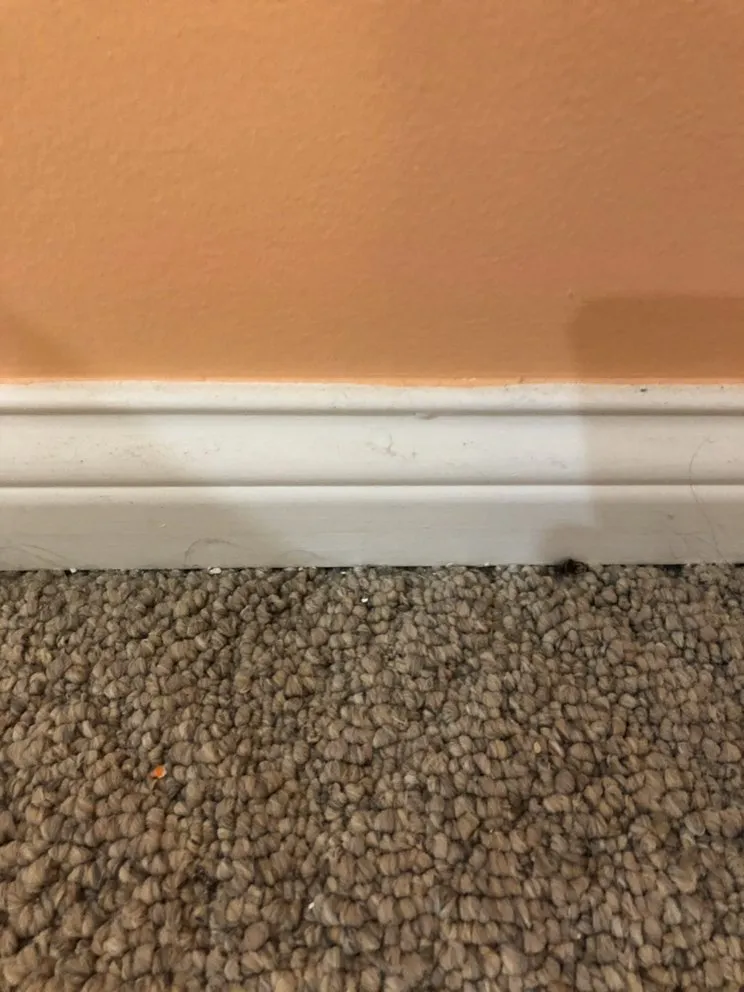 Slide of Costello Electric & Construction