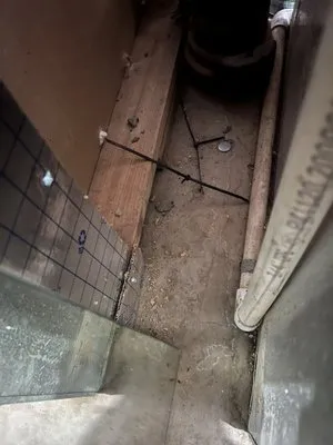 Cougar Mechanical Logo