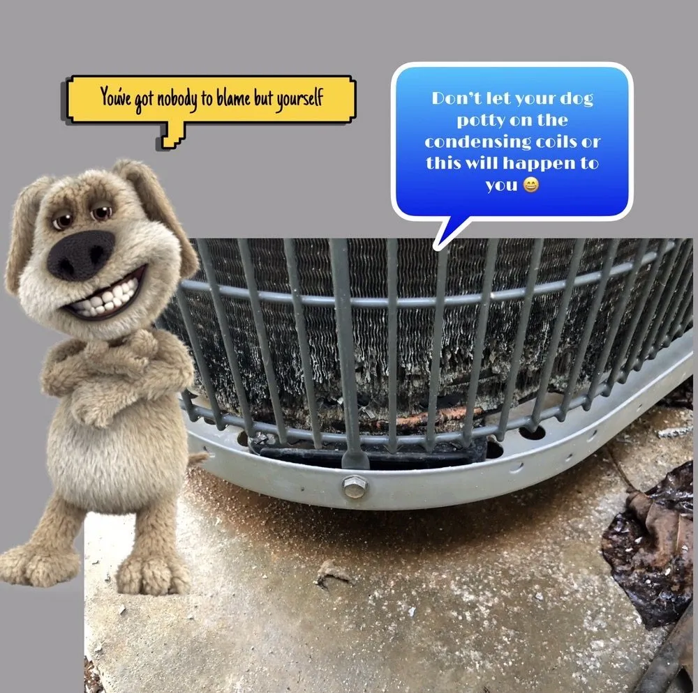Trusted electrician providing electrical repair in Lascassas, TN - Country Comfort Heating, Cooling and Electric
