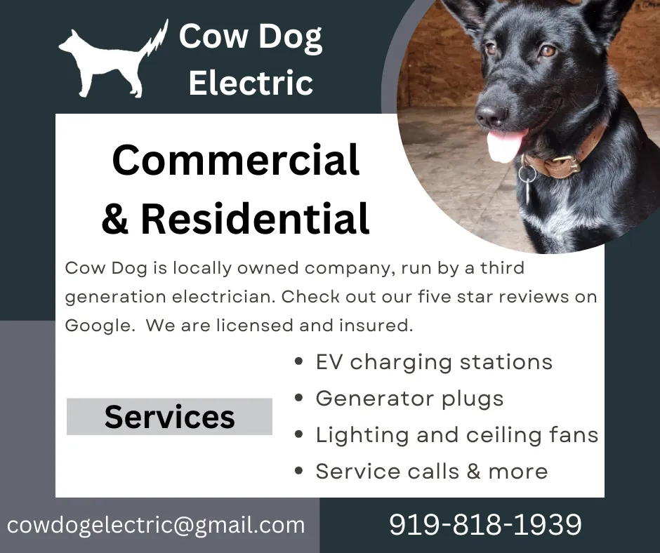 Slide of Cow Dog Electric
