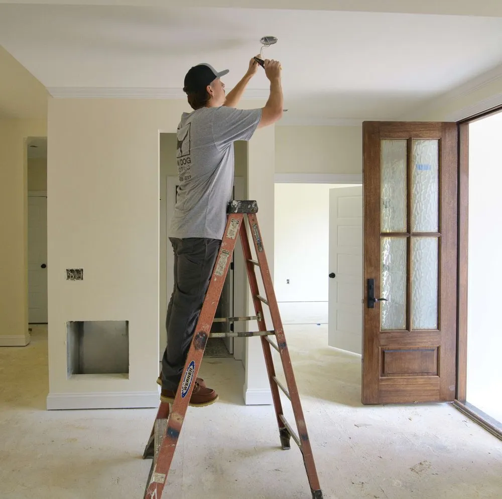 Slide of Cow Dog Electric