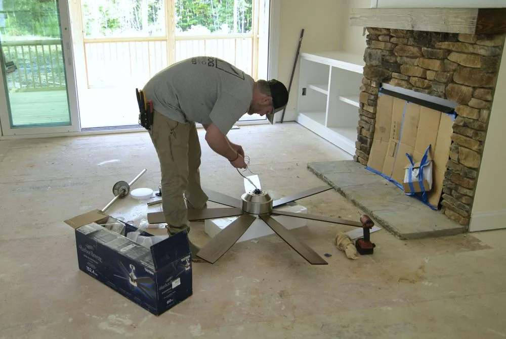 Slide of Cow Dog Electric