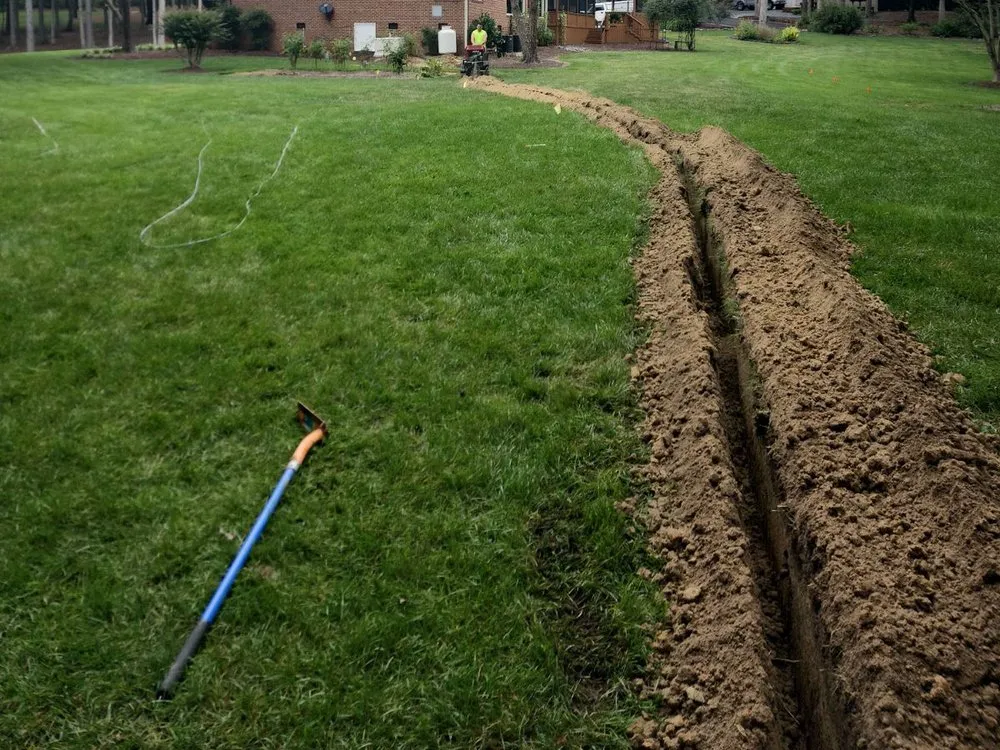 Slide of Cow Dog Electric