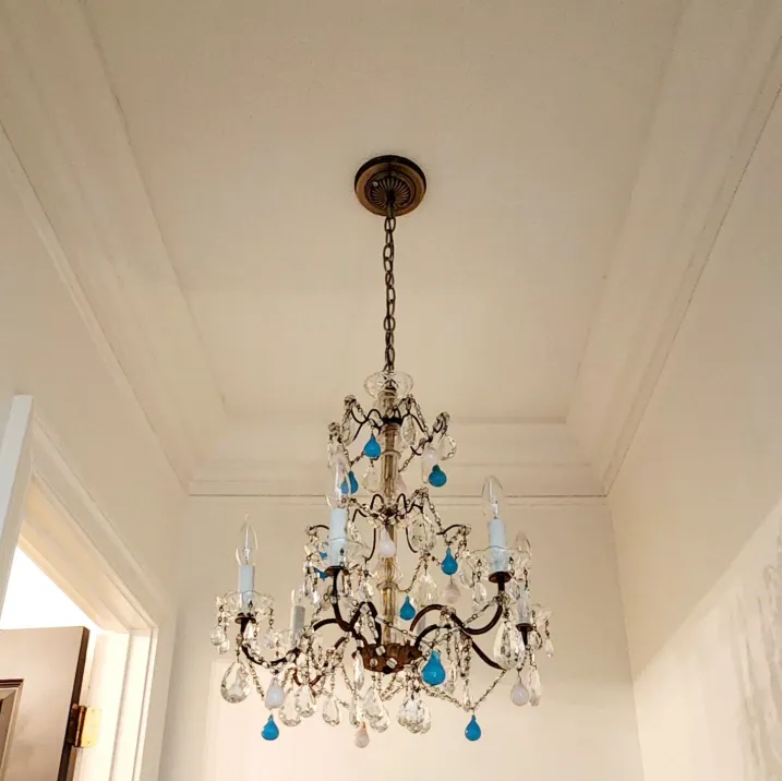 Slide of Cow Dog Electric