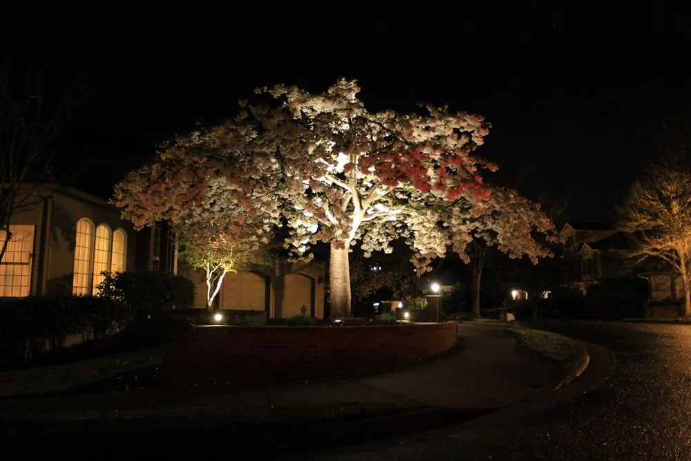 Slide of Cox Electric