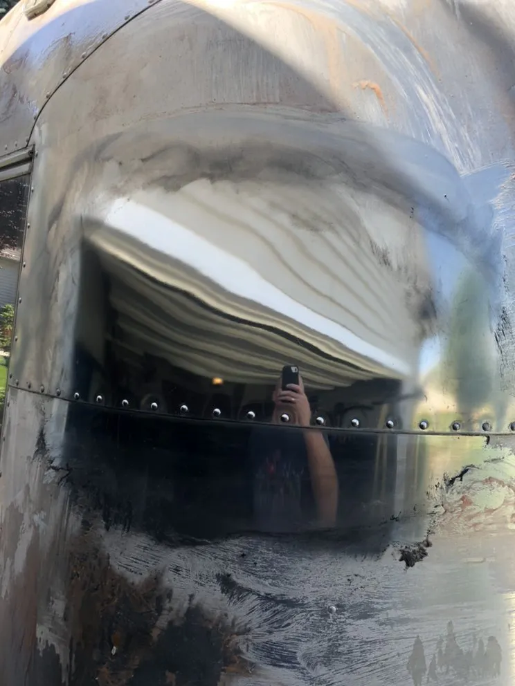 Slide of Coyote On The Lake