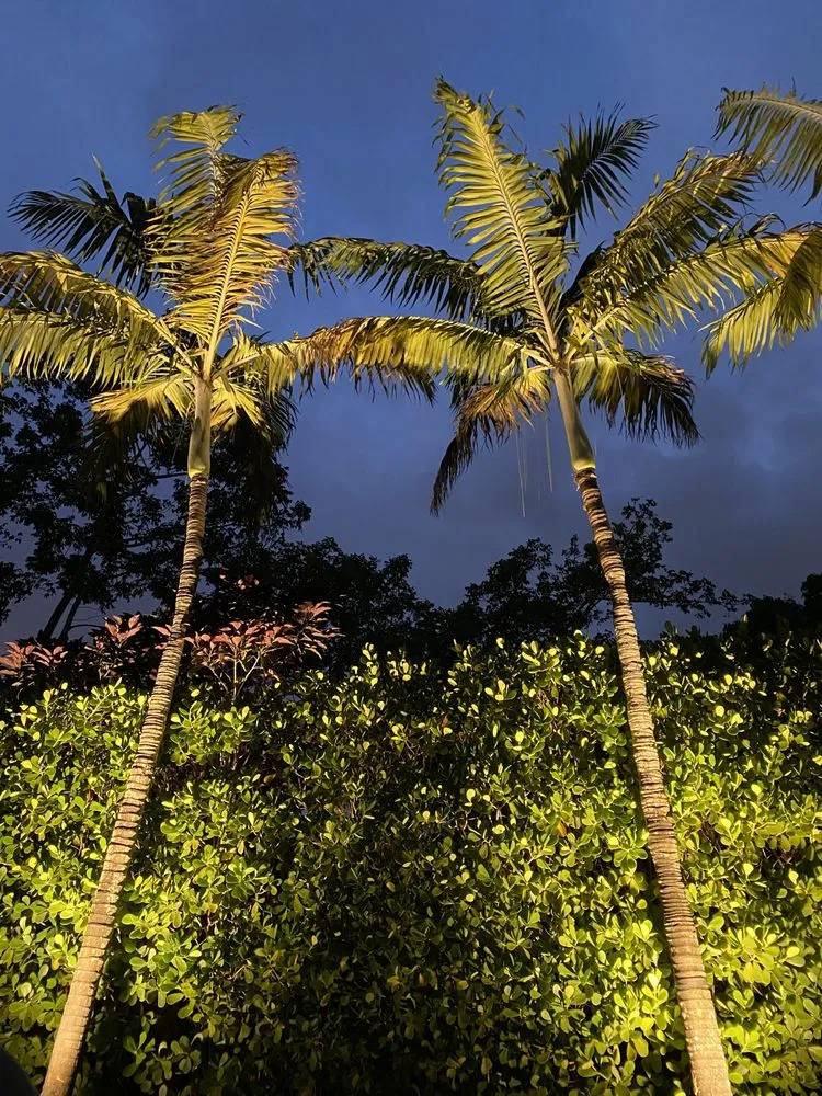 Slide of CP Lighting Solution