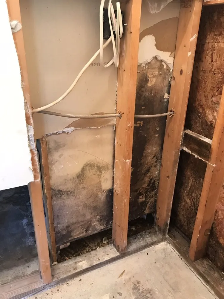 Slide of Craigo Doug Electrical Heating