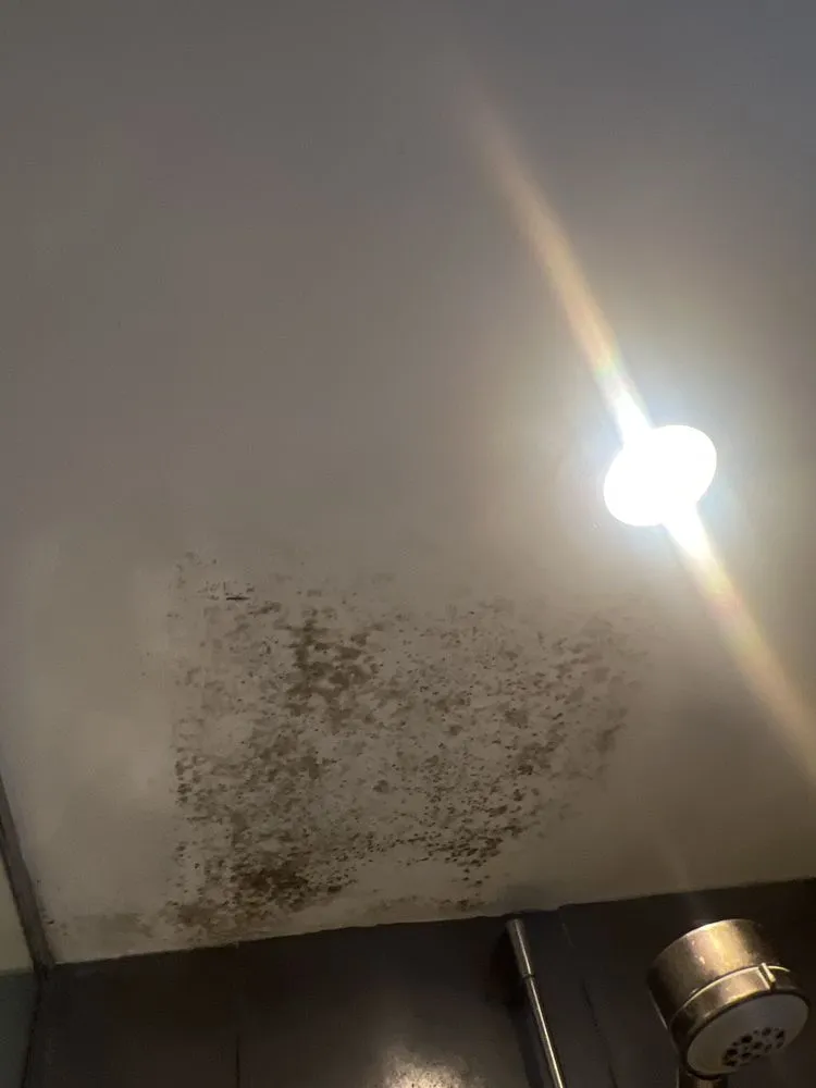 Slide of Craig's Services LLC