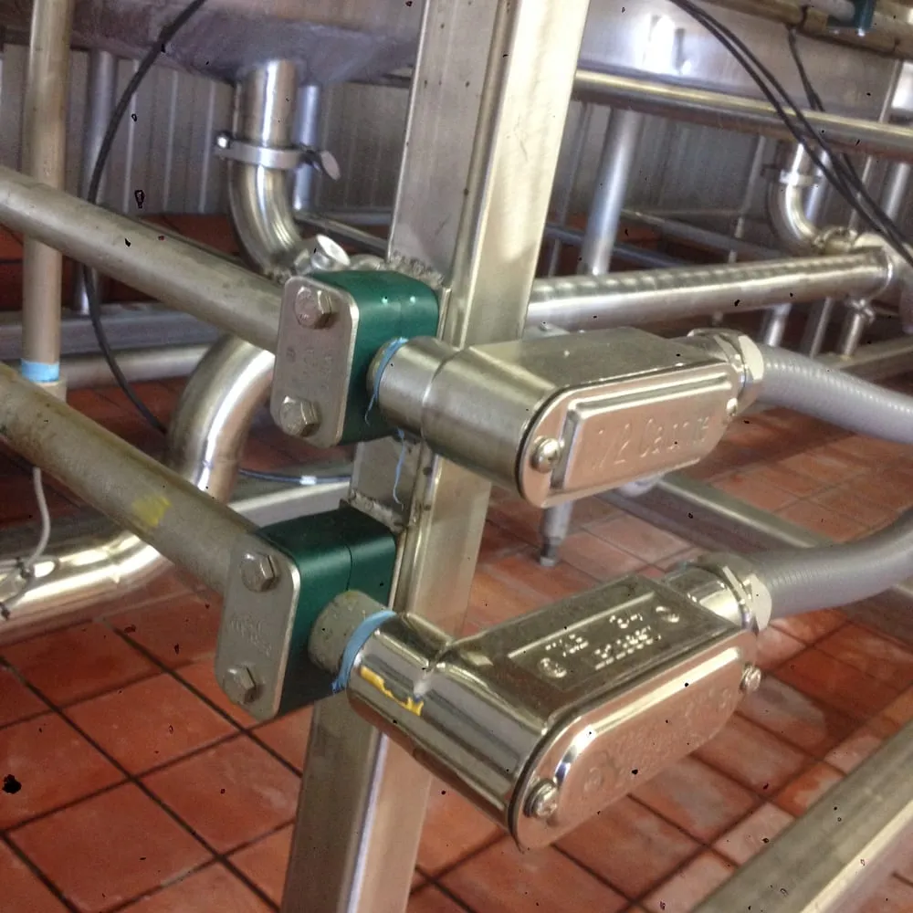 Slide of Crew Electric