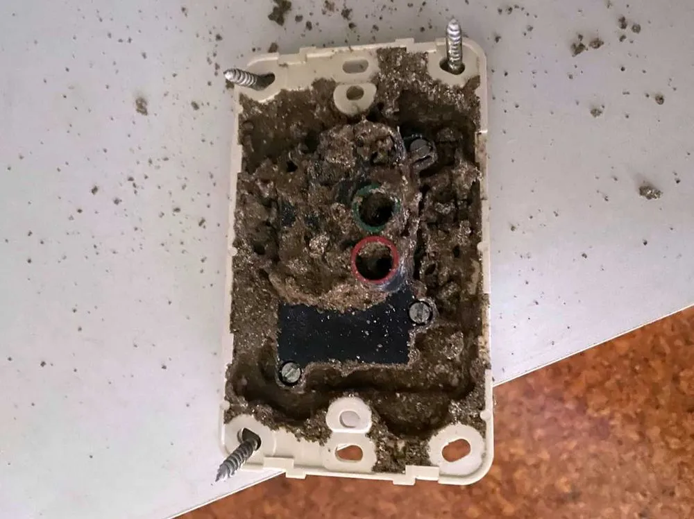 Slide of Crown Hill Electric