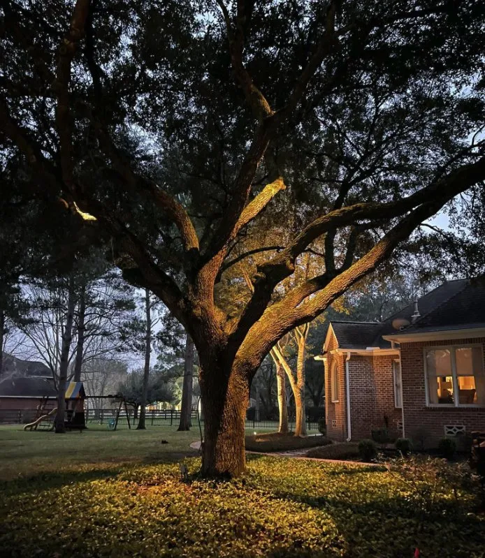 Slide of Cruz Electric