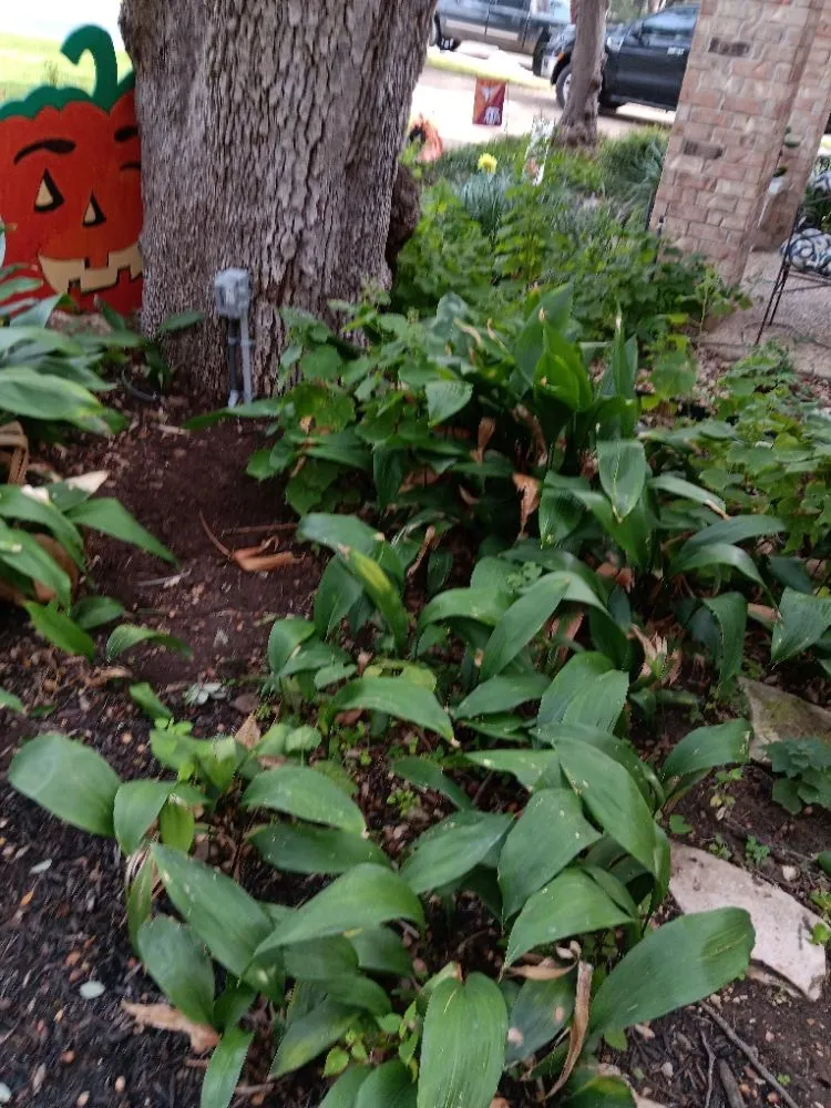 Affordable electrical repair in ,  by Cruz Makeready Solutions