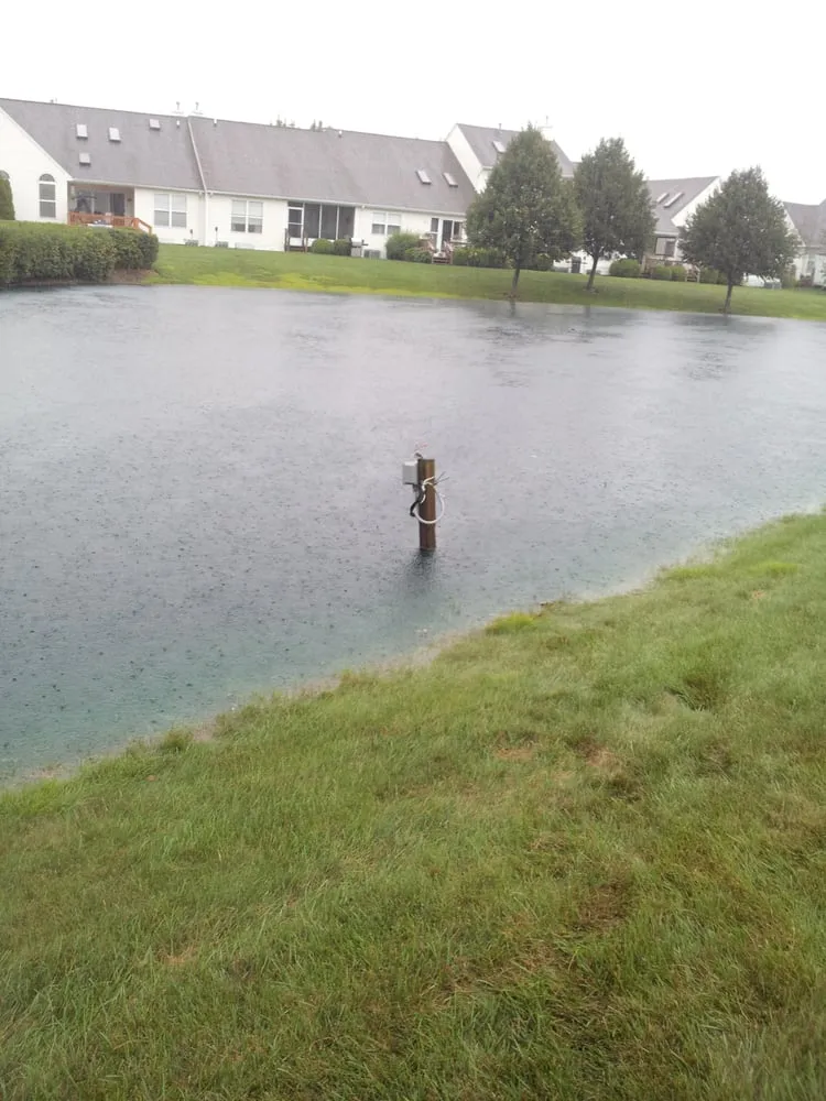 Slide of CSF Electric