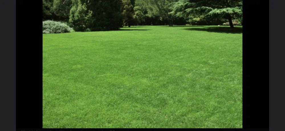 Slide of CST Electrical Services