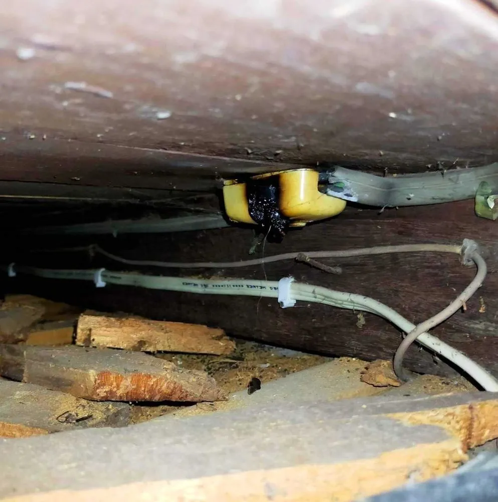 Slide of Curtis Park Electric