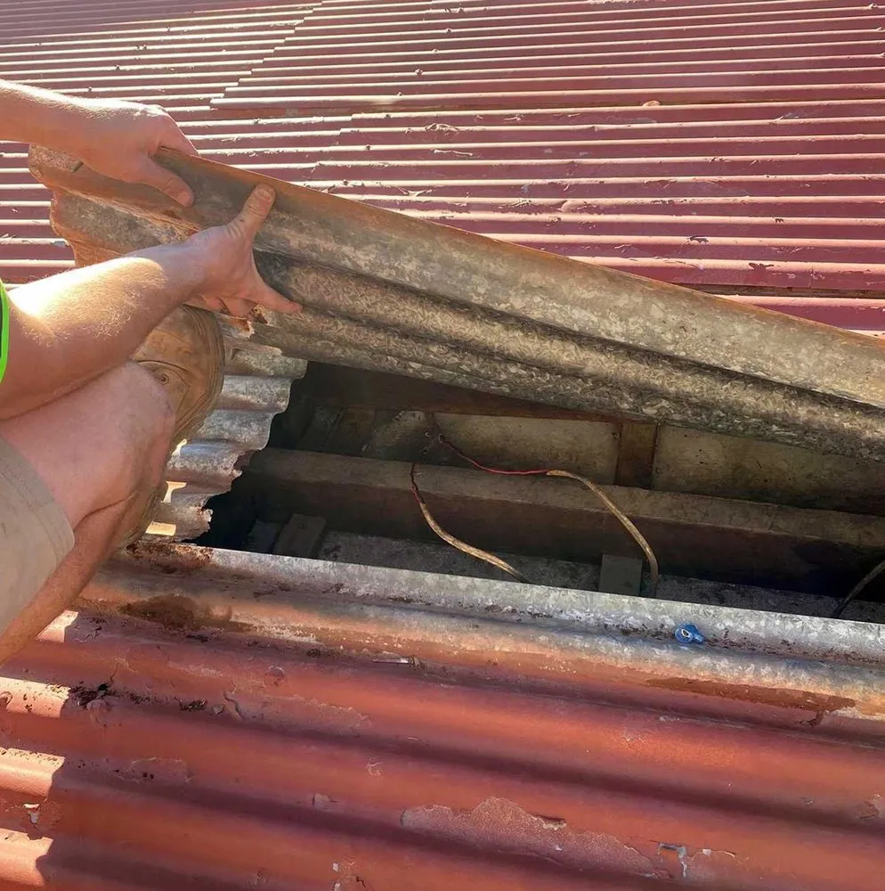 Slide of Curtis Park Electric