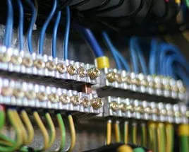 Slide of Custom Electric