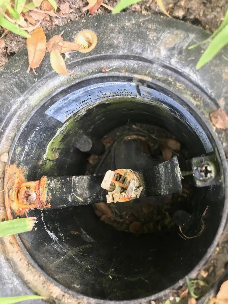 Slide of Custom Outdoor Lighting By Fred Hlavaty