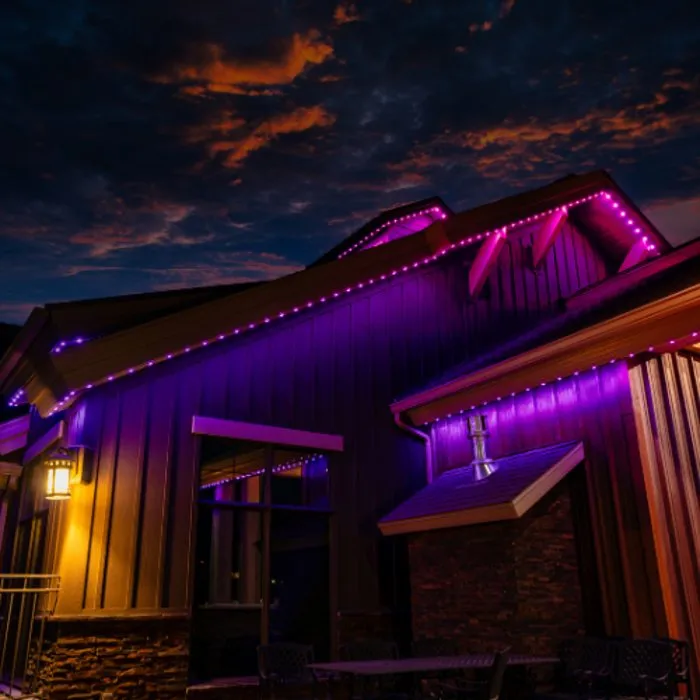 Slide of Cutting Edge Electric