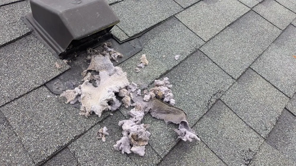 Slide of CV Solutions