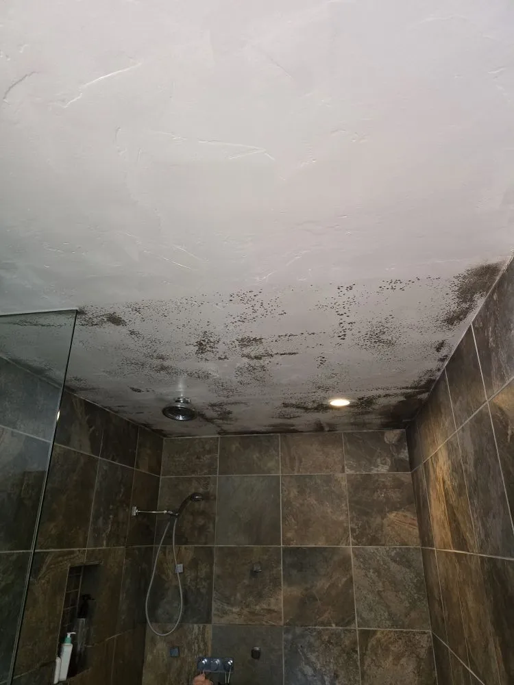 Slide of CW Construction