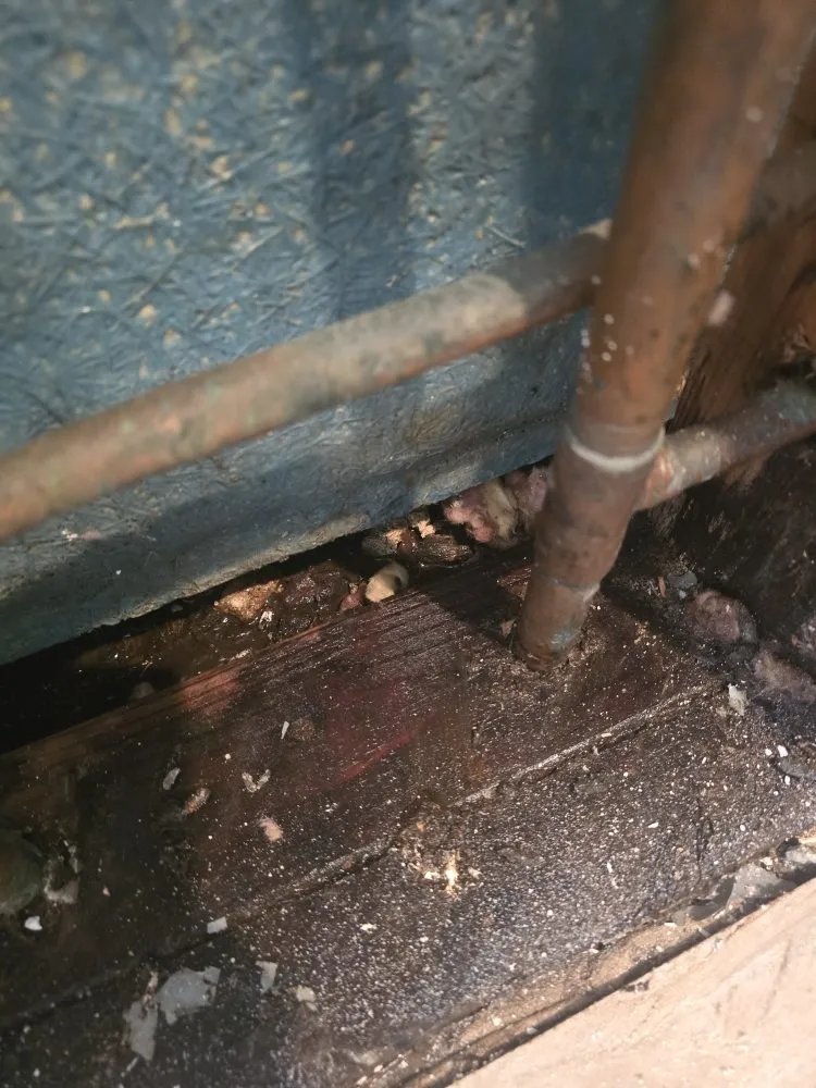 Slide of CW Construction