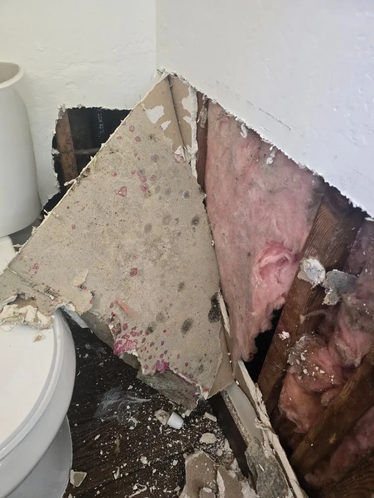 Slide of CW Construction