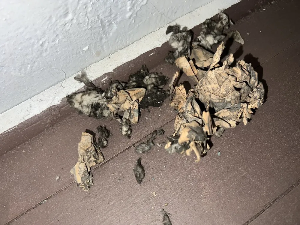 Slide of CW Electrical Services