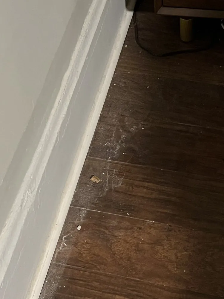 Slide of CW Electrical Services