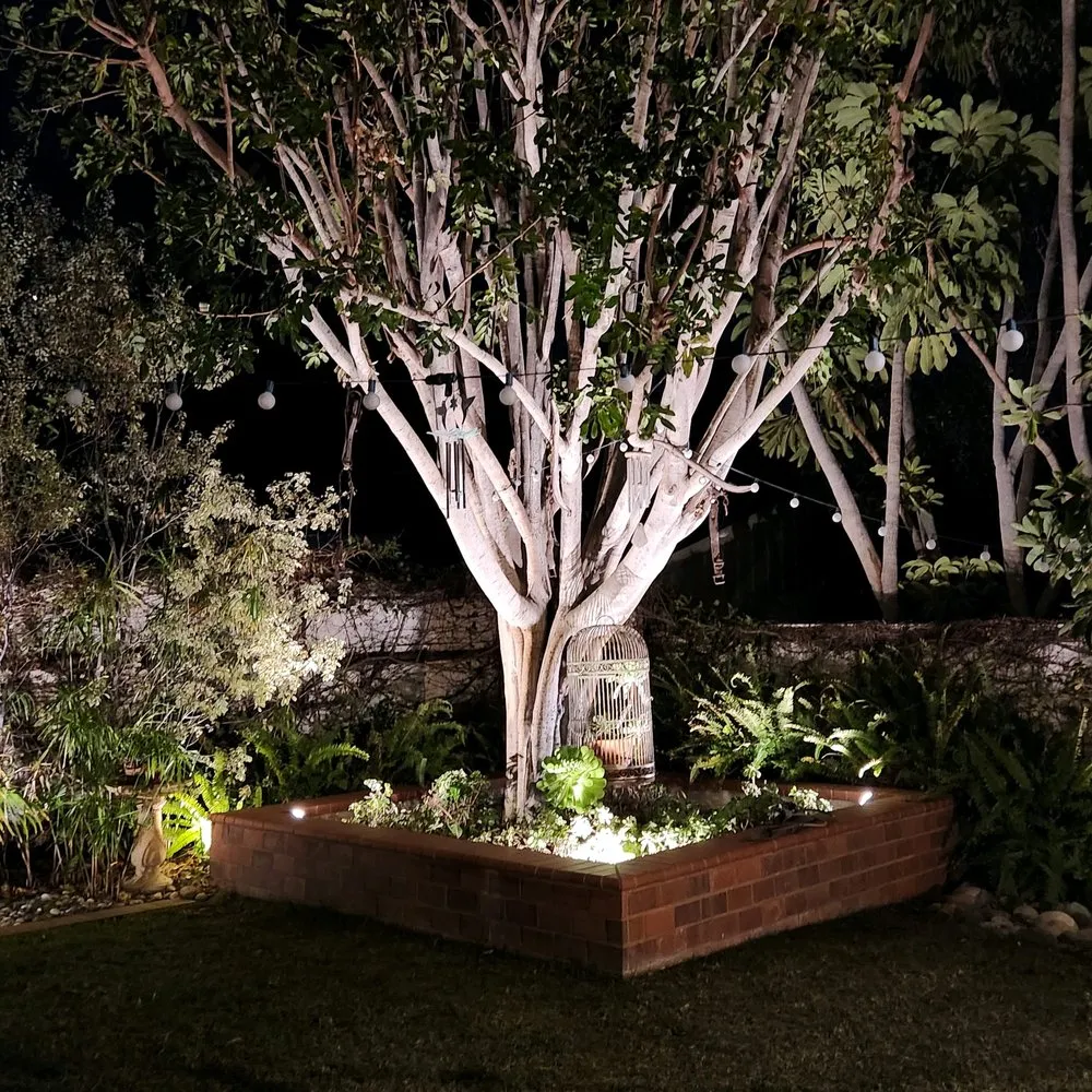 Slide of D & N Electric