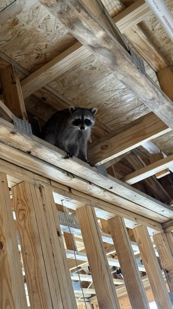 Slide of D A Sanchez Electric