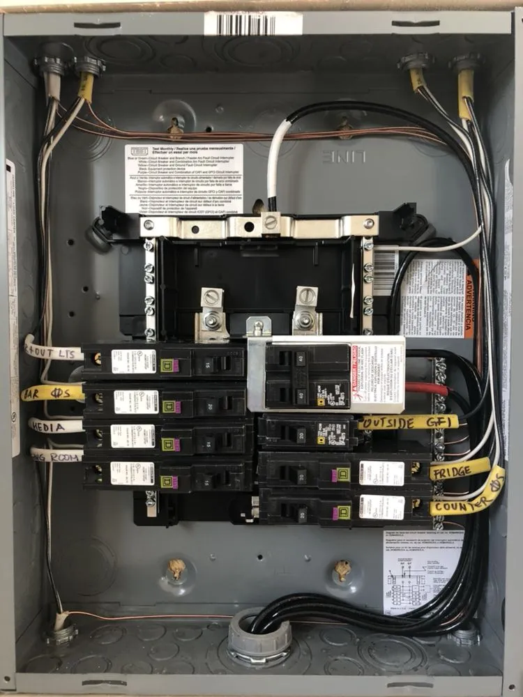 Slide of D Andrade Electrician