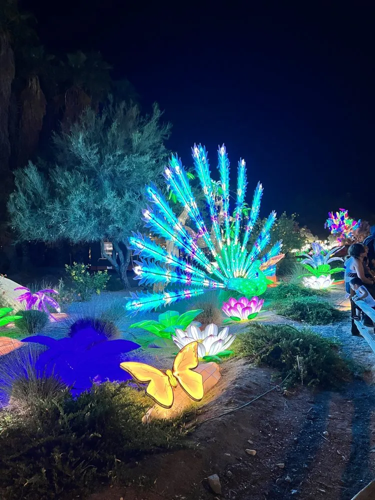 Slide of D-Bac Lighting and Electric