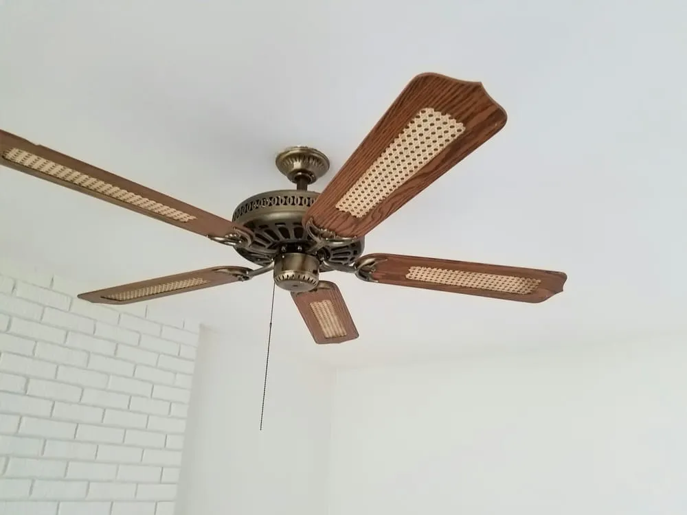 Slide of D Frey & Son Electric